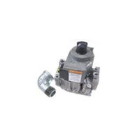Zodiac R0455200 Natural Gas Valve Lxi