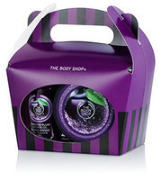 Frosted Plum Treat Box