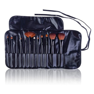 SHANY Professional 12 - Piece Natural Goat and Badger Cosmetic Brush Set with Pouch - Black