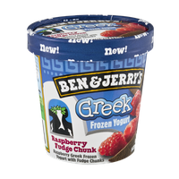 Ben & Jerry's® Raspberry Fudge Chunk Greek Frozen Yogurt