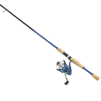 Ardent DANNY BRAUER SPIN COMBO