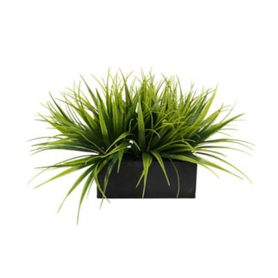 Plantertech - Ledge Box Bluetooth Music System - Grass