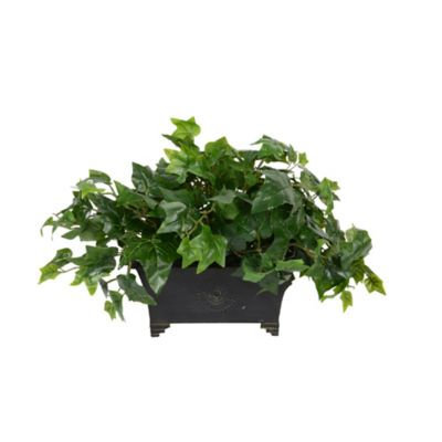 Plantertech - Ledge Box Bluetooth Music System - Ivy