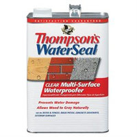 Thompson's WaterSeal 1-Gallon Clear Multi-Surface Waterproofer TH.024101-16