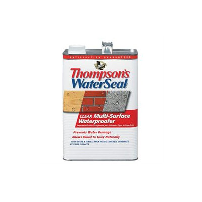 Thompson's WaterSeal 1-Gallon Clear Multi-Surface Waterproofer TH.024101-16
