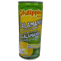 Philippine Juice Nectar Mango, 8.4-Ounce (Pack of 12)