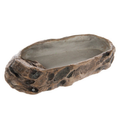 National GeographicTM Mayan Dish Reptile Bowl
