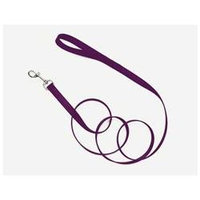 Coastal Pet Products DCP906PUR Nylon Single Layer Lead