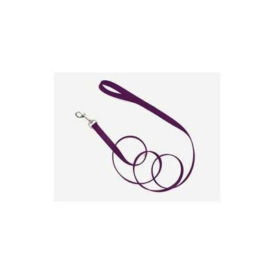 Coastal Pet Products DCP906PUR Nylon Single Layer Lead