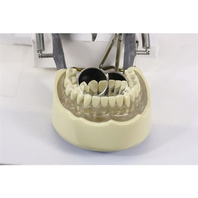 Osung D-MMSS-04H Magnifying Dental Mirror with Handle, 3X, SS