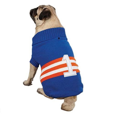 Zack & Zoey Collegiate Pet Sweater - Blue