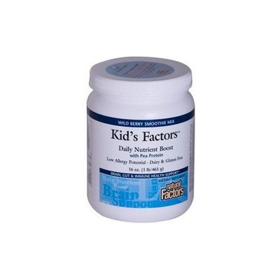 Natural Factors Kid's Factors Daily Nutrient Boost with Pea Protein Wild Berry Smoothie Mix, 16-Ounce