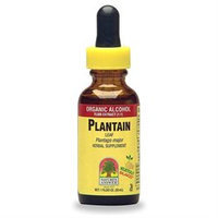 tures Answer Plantain Leaves Extract 1 Fl Oz from Nature's Answer