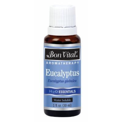 Bon Vital' H2O Essentials - 1 fl oz.-Eucalyptus