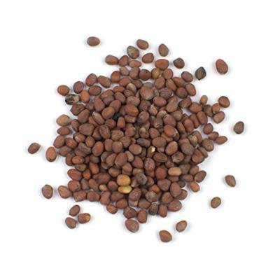 Organic Daikon Radish Seeds, 22 Oz