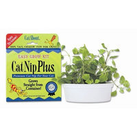 Cat-About by MiracleCorp Gimborn Single Cat Grass Plus, 60-Gram