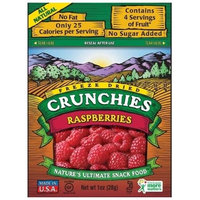 Crunchies Freeze-Dried Raspberries, 1-Ounce Pouches (Pack of 6)