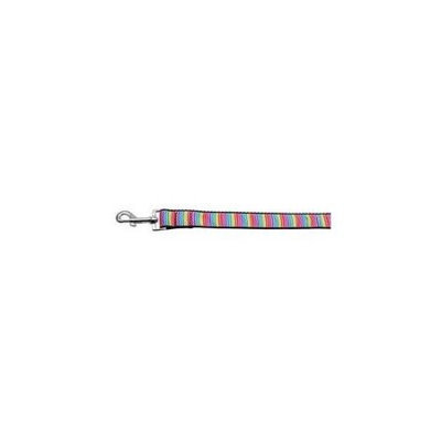 Ahi Zigzaggy Rainbow Nylon Ribbon Dog Collars 1 wide 4ft Leash