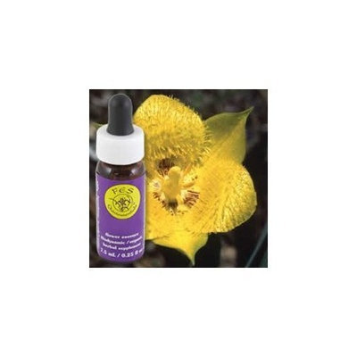 Flower Essence FES Quintessentials Yellow Star Tulip Supplement Dropper -- 0.25 fl oz