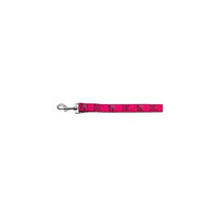Ahi Girls Rock Nylon Ribbon Dog Collars 1 wide 4ft Leash