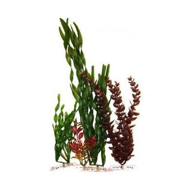 Mojetto Tetra Usa ATS19244 Multi-Pack 1 Water Wonders Aquarium Plant