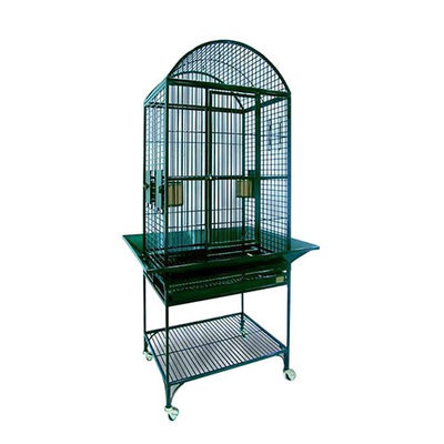 Avian Adventures Nina Dometop Bird Cage Color: Emerald Green