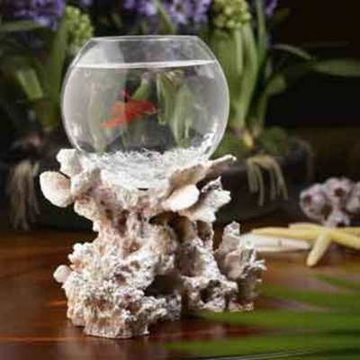 Betta Treasures Blue Lagoon Betta Bowl in Fossilized Coral