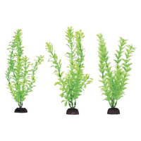 Aqua-Plants Aqua-Plant 8-Inch Green Plants 6-Piece Assortment from Penn-Plax