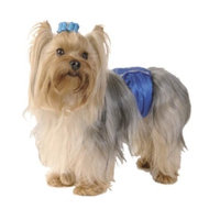 Max's Closet Royal Belly Bands, Medium
