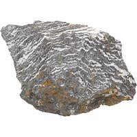 North American Pet Zebra Rock, 6