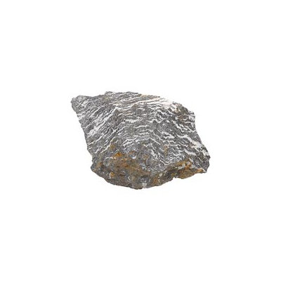 North American Pet Zebra Rock, 6