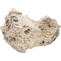 North American Pet Lace Rock, 8