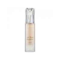 Albion GEL Mask Foundation 040