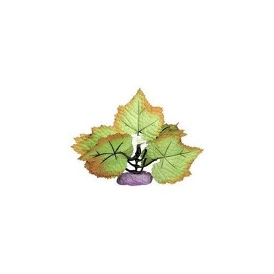 Blue Ribbon Pet Products Plant - Flowering Wild Fern Cluster Mini Green / Yellow