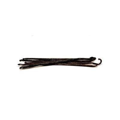 10 Organic Premium Gourmet Mexican Vanilla Beans