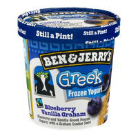 Ben & Jerry's® Blueberry Vanilla Graham Greek Frozen Yogurt