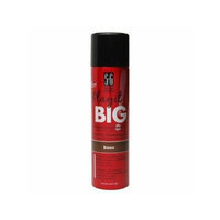 Salon Grafix Play It Big Dry Shampoo, Brown Hair 5.3 oz (150 g)
