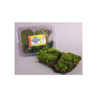 Nature Zone Terrarium Flora - Frog (Mood) Moss