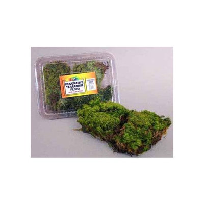 Nature Zone Terrarium Flora - Frog (Mood) Moss