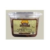 Bulk Dried Fruit Apricots Large Turk So-2 28 Lbs - SPu692004