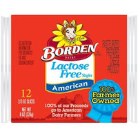 Placeholder Borden Lactose Free Singles American Cheese Slices, 0.66 oz, 12 count