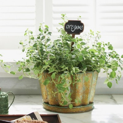 Smith & Hawken Scalloped Edge Metal Pot; 5.5