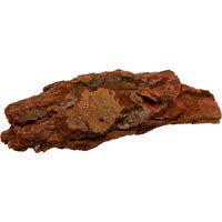 T-Rex Terra Accents Bark Log