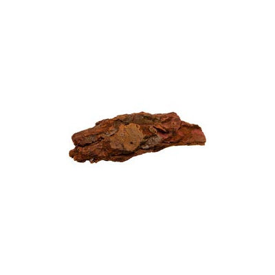 T-Rex Terra Accents Bark Log