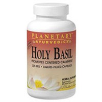 Planetary Herbals, Ayurvedics Holy Basil 2 fl oz