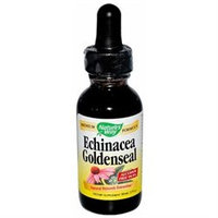 Natures Way Nature's Way Echinacea Goldenseal - 1 fl oz
