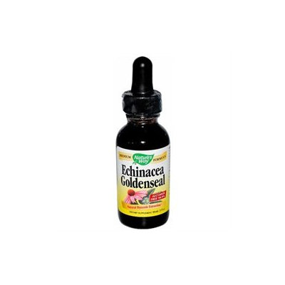 Natures Way Nature's Way Echinacea Goldenseal - 1 fl oz