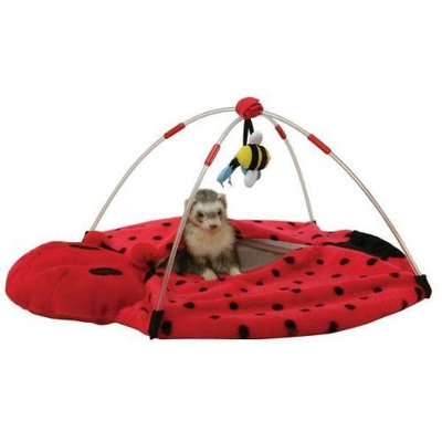 Marshall Pet Products Marshall Ferret Bed Bug Play Center