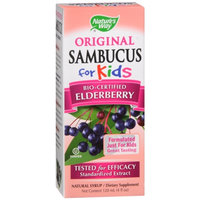Nature's Way Sambucus for Kids Dietary Supplement Syrup