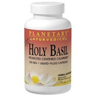 Planetary Herbals, Ayurvedics Holy Basil 1 fl oz